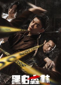 Black and White Forest